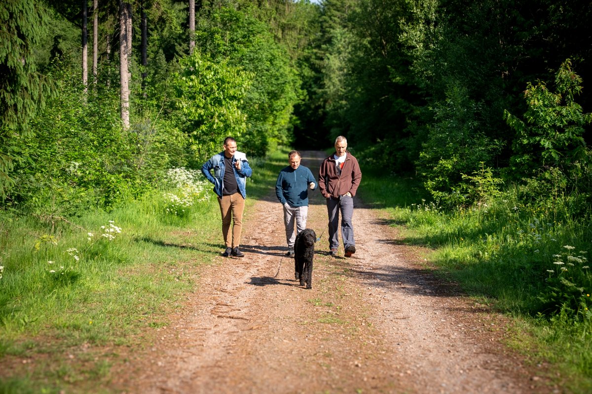 Spaziergang im Grünen – Austausch und Reflexion.
